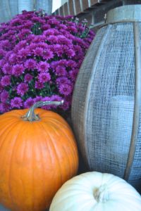 Click here to take a tour of a purple and orange fall front porch. Welcome!