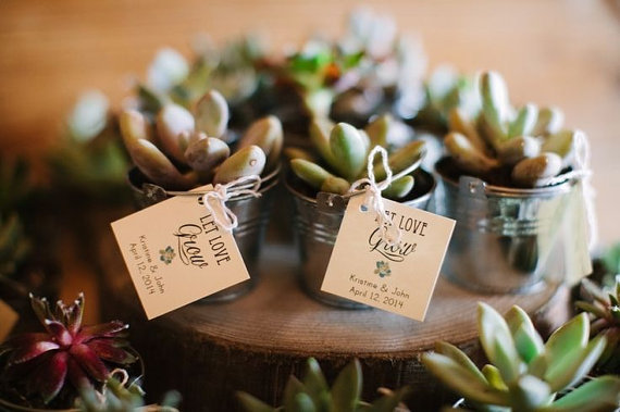 plant baby shower favors