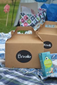 Picnic party birthday, picnic party with lunch boxes and red gingham, park playdate picnic birthday party