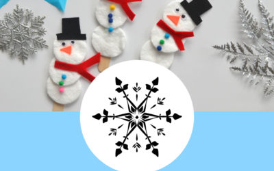 Party Plan Subscription-Winter Themed Playdate Party